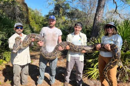 Reprodução/Conservancy of Southwest Florida 