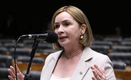 Kayo Magalhães/Câmara dos Deputados 