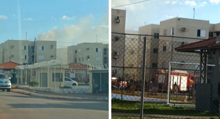Reprodução