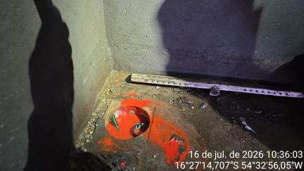 Reprodução