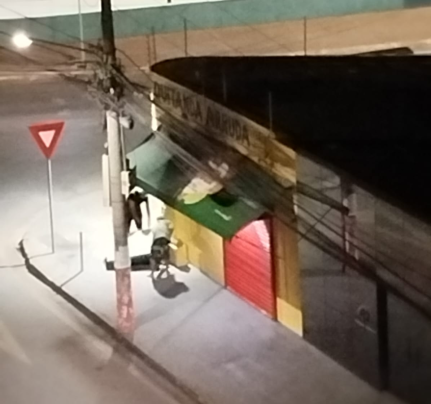 Reprodução