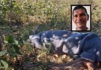 Cáceres Notícias 