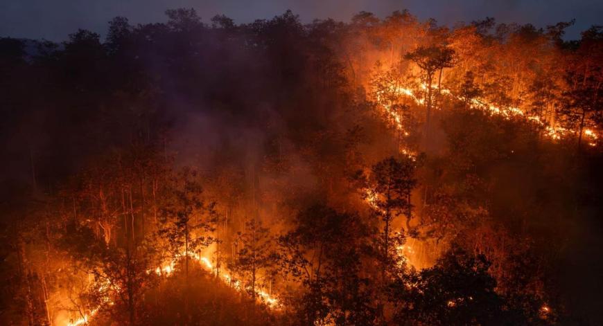 divulgação Bombeiros 