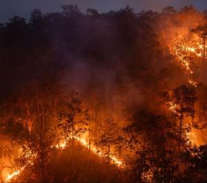 divulgação Bombeiros 