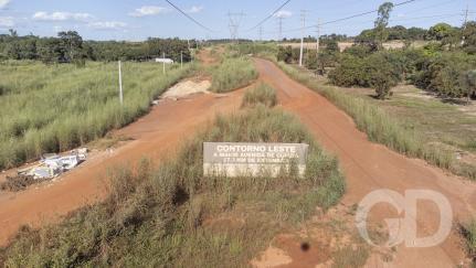 Chico Ferreira