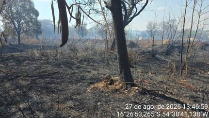 Reprodução