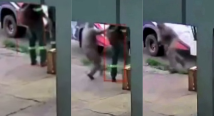 Reprodução
