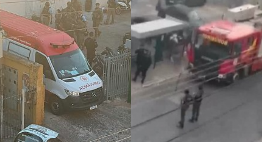Reprodução