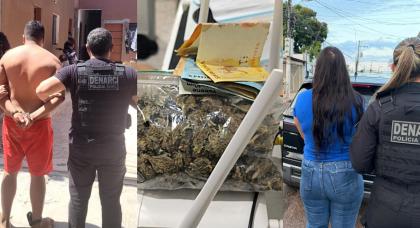Reprodução