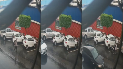 Reprodução
