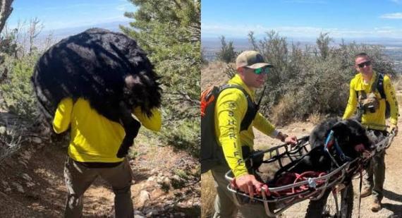 Reprodução/Facebook/Bernalillo County Sheriff's Of