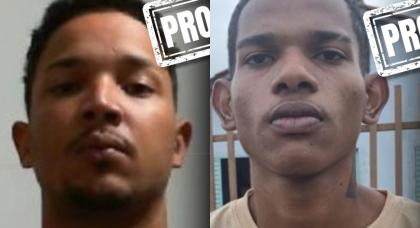 Reprodução