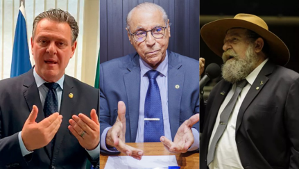 Reprodução